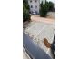 Apartman na moru, Prodaja, Kolan, Mandre